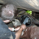 Illustration for article titled Ten Heroic Duct Tape Car Repairs